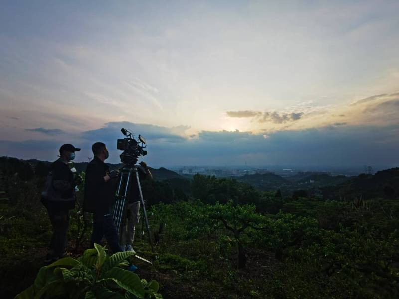 聚焦罗山县产品宣传视频拍摄公司，用专业实力铸就品牌传播传奇