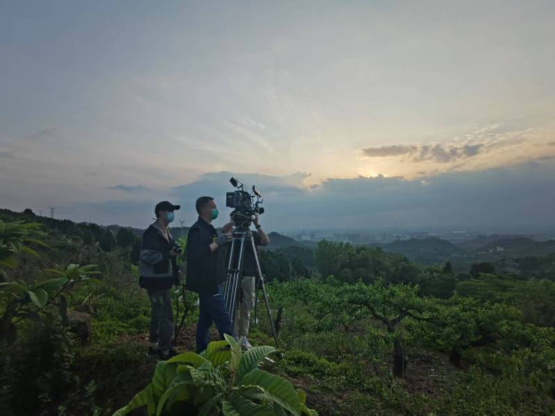 创意破圈！罗山县电商产品宣传视频用故事化叙事引爆流量