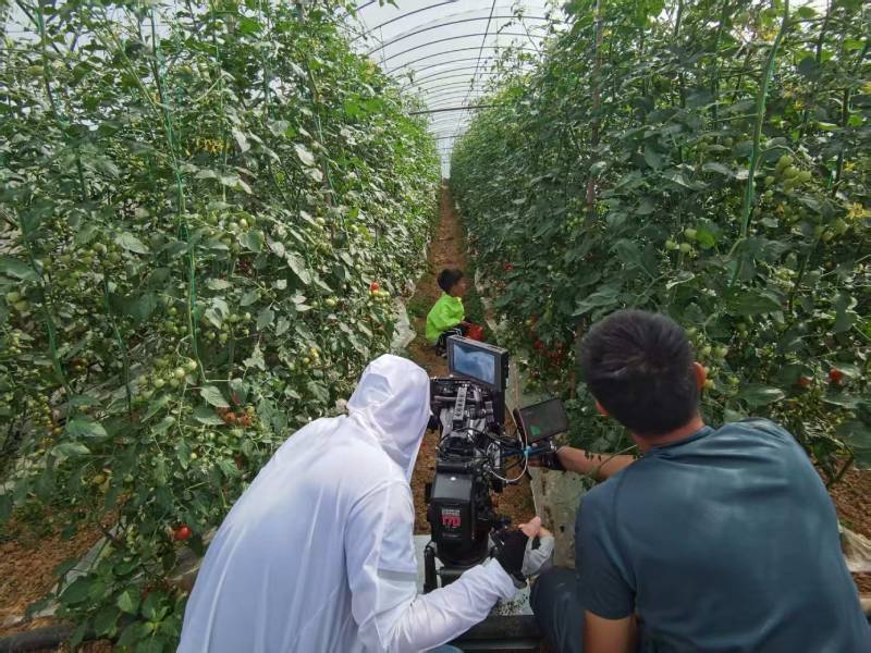 罗山县产品宣传视频拍摄公司进阶指南，助力品牌抢占传播高地